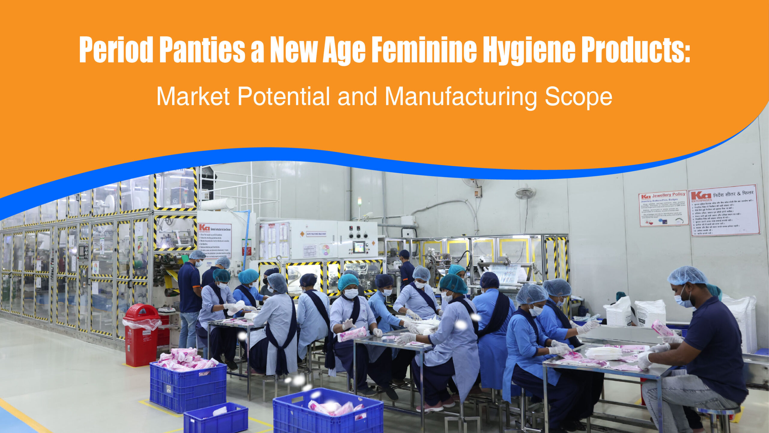 Disposable Period Panties